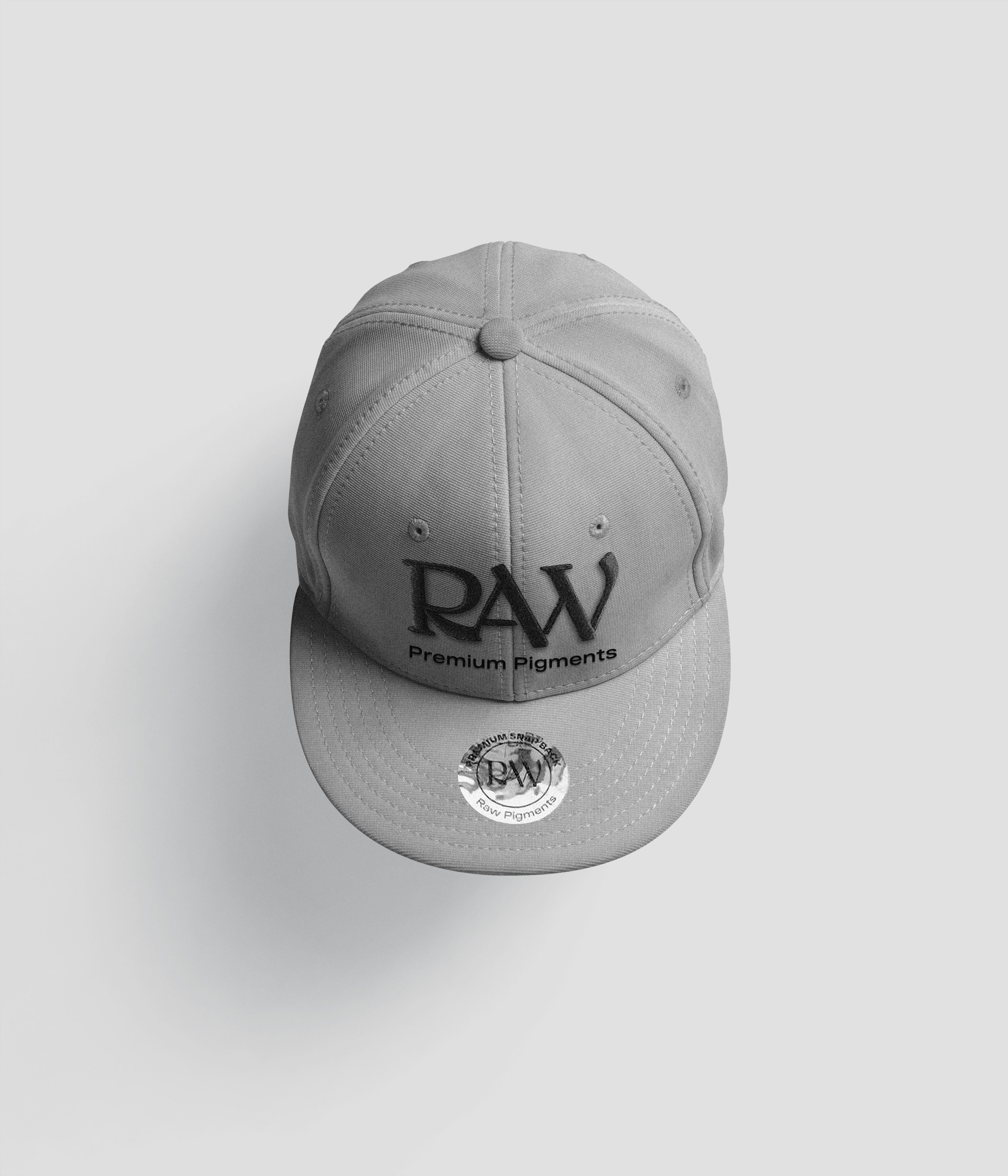 RAW Snapback Hat Gray